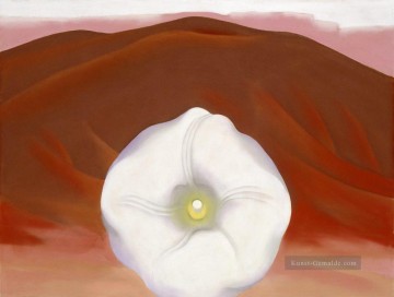  blume - Rote Hügel und weiße Blume Georgia Okeeffe American Moderm Precisionism